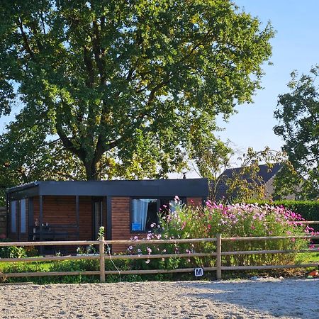 Houten Huisje Tussen Paarden Villa Nieuwerkerken Luaran gambar