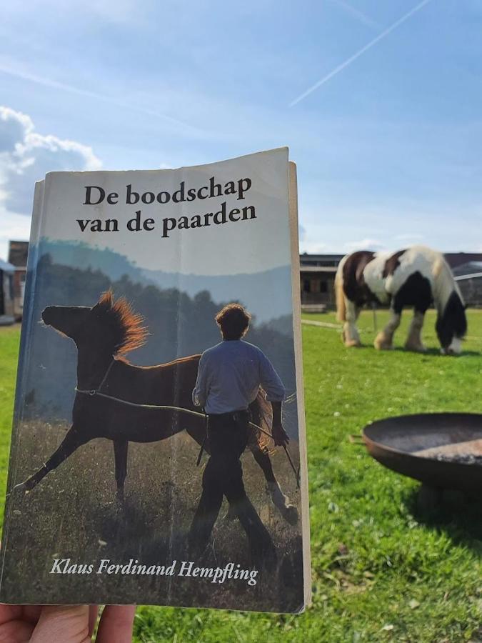 Houten Huisje Tussen Paarden Nieuwerkerken Luaran gambar