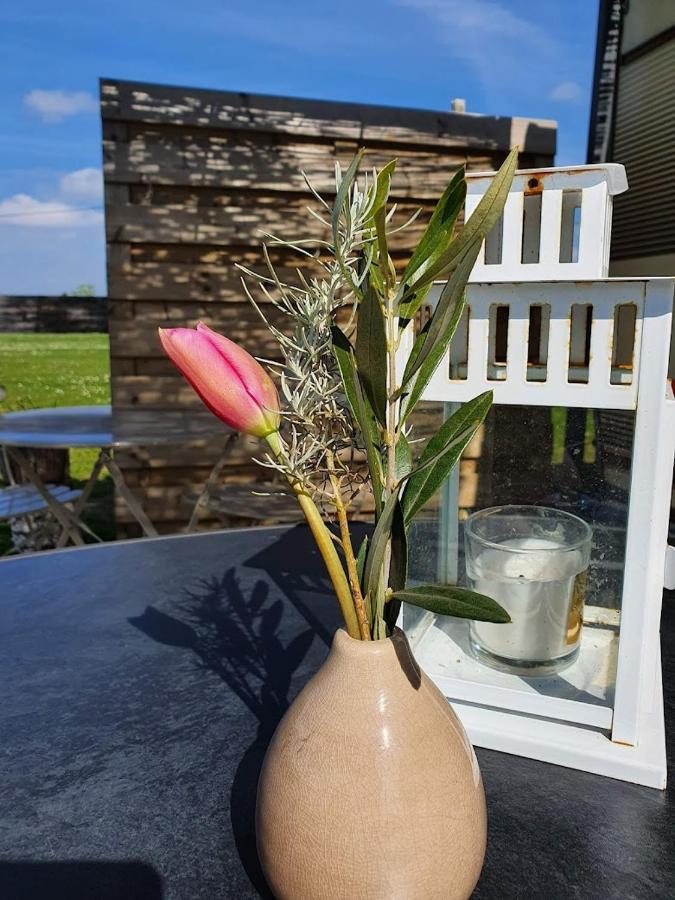 Houten Huisje Tussen Paarden Nieuwerkerken Luaran gambar