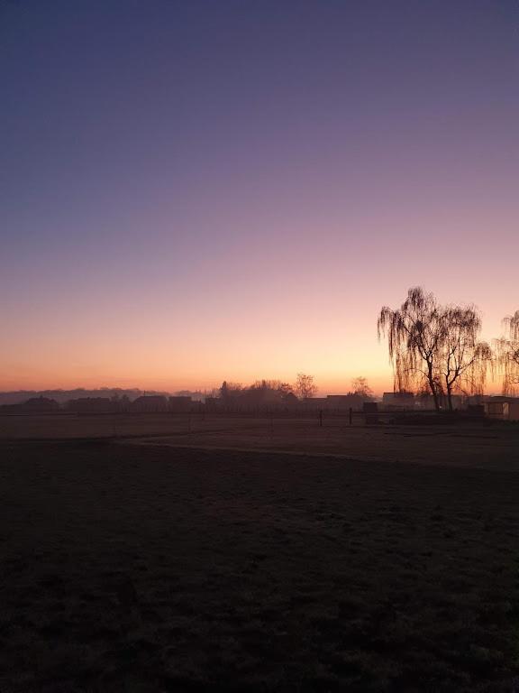 Houten Huisje Tussen Paarden Nieuwerkerken Luaran gambar