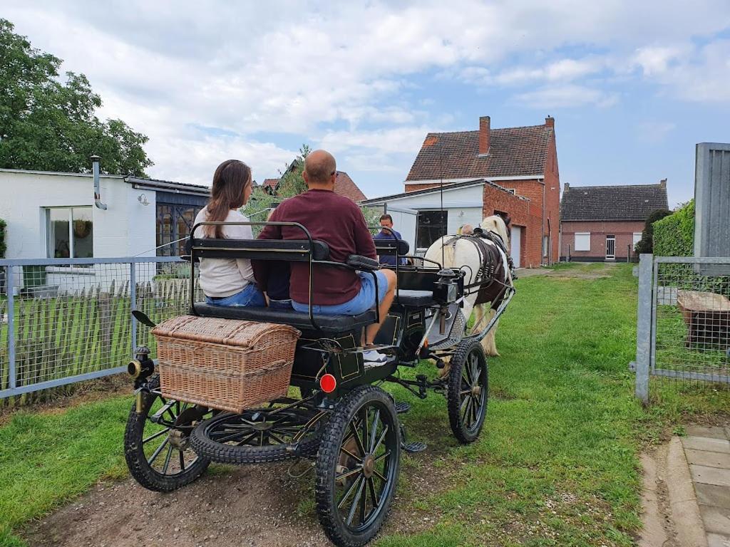 Houten Huisje Tussen Paarden Nieuwerkerken Luaran gambar
