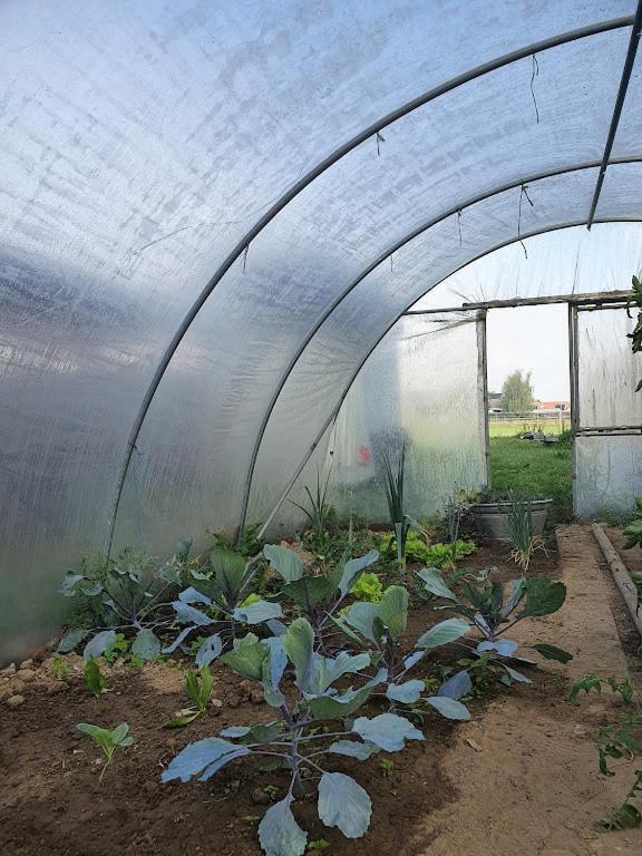 Houten Huisje Tussen Paarden Nieuwerkerken Luaran gambar