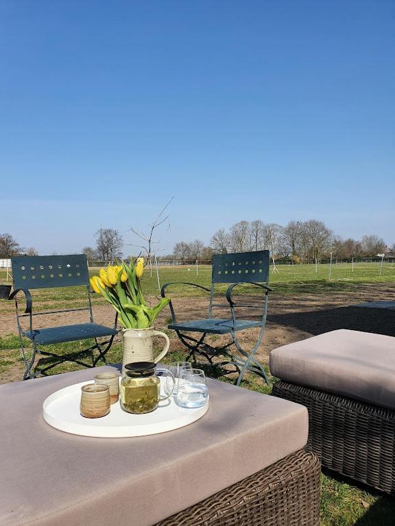Houten Huisje Tussen Paarden Nieuwerkerken Luaran gambar