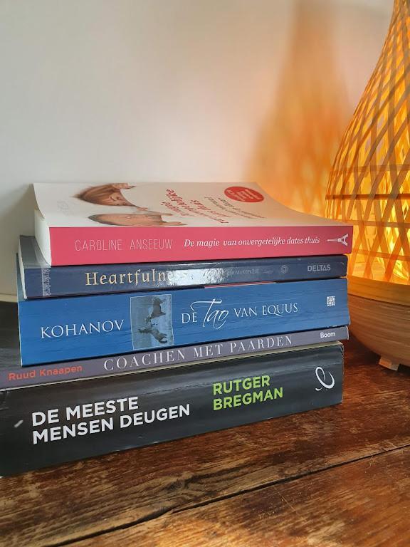 Houten Huisje Tussen Paarden Nieuwerkerken Luaran gambar