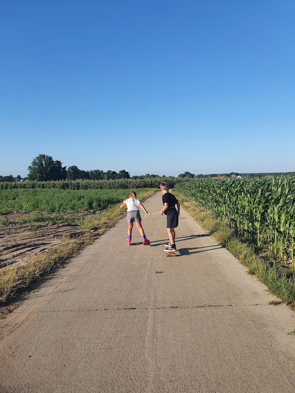 Houten Huisje Tussen Paarden Villa Nieuwerkerken Luaran gambar