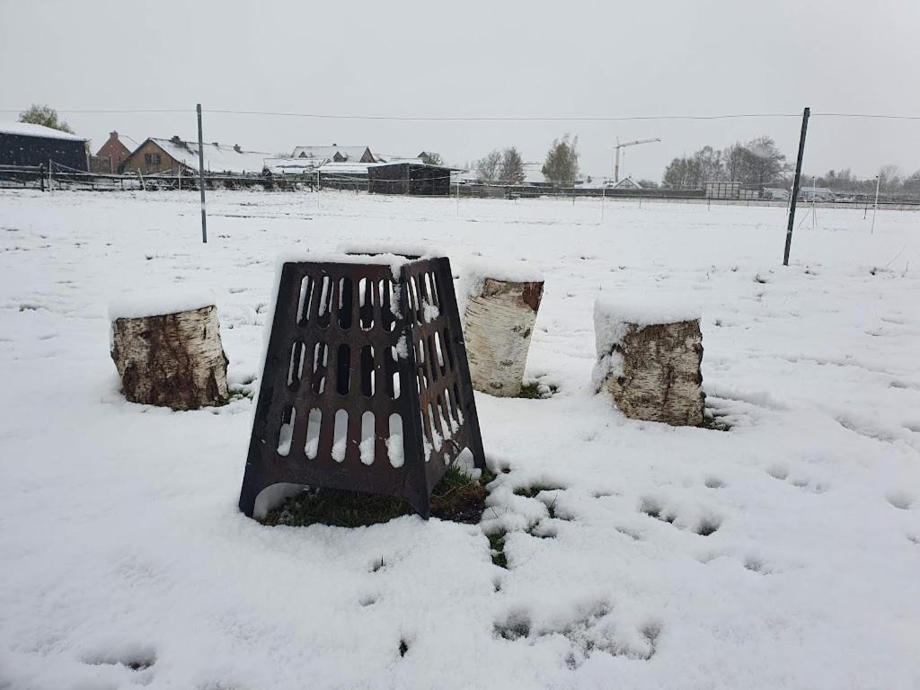 Houten Huisje Tussen Paarden Nieuwerkerken Luaran gambar